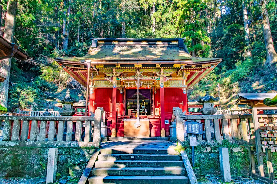 木立の中の朱色の拝殿と石段