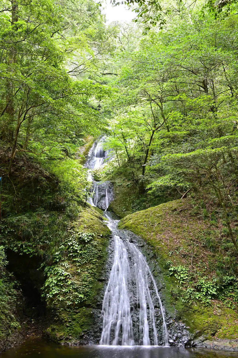 新緑の中の阿寺の七滝
