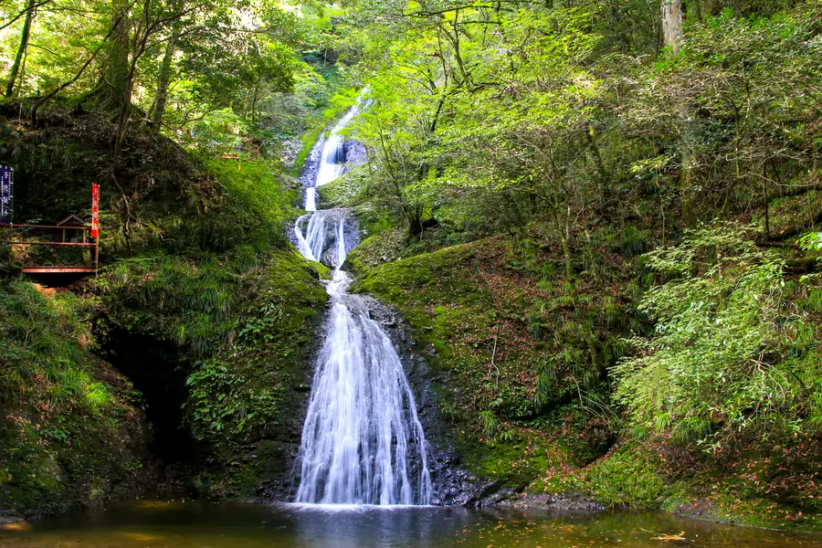 新緑の岩場を流れる阿寺の七滝の全景