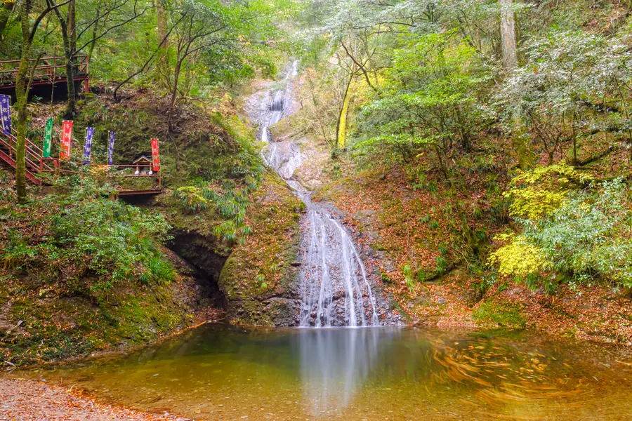 紅葉の中の阿寺の七滝と滝壺