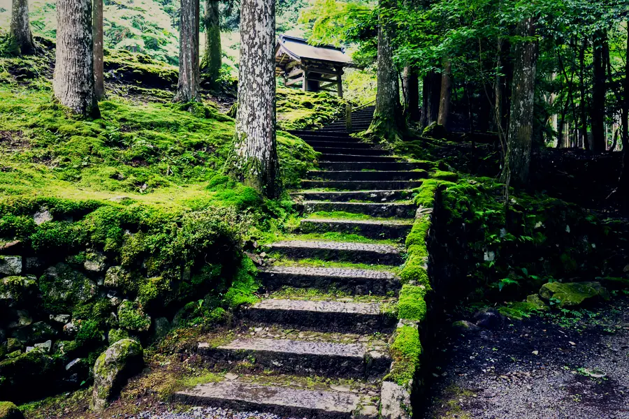 苔むした石段が続く山の寺の参道