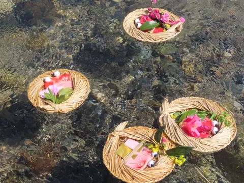 清流を漂う流し雛