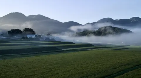 朝霧のかかる田園と山並み