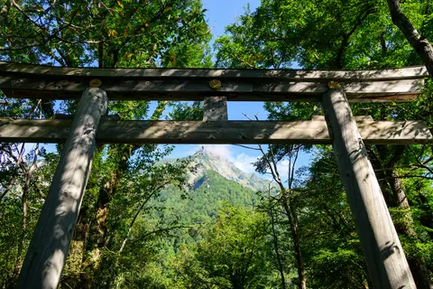 木製の鳥居越しに新緑の山を望む