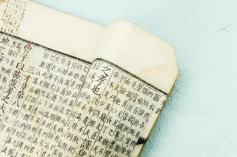 木版で刷られた版本の本文(近接)