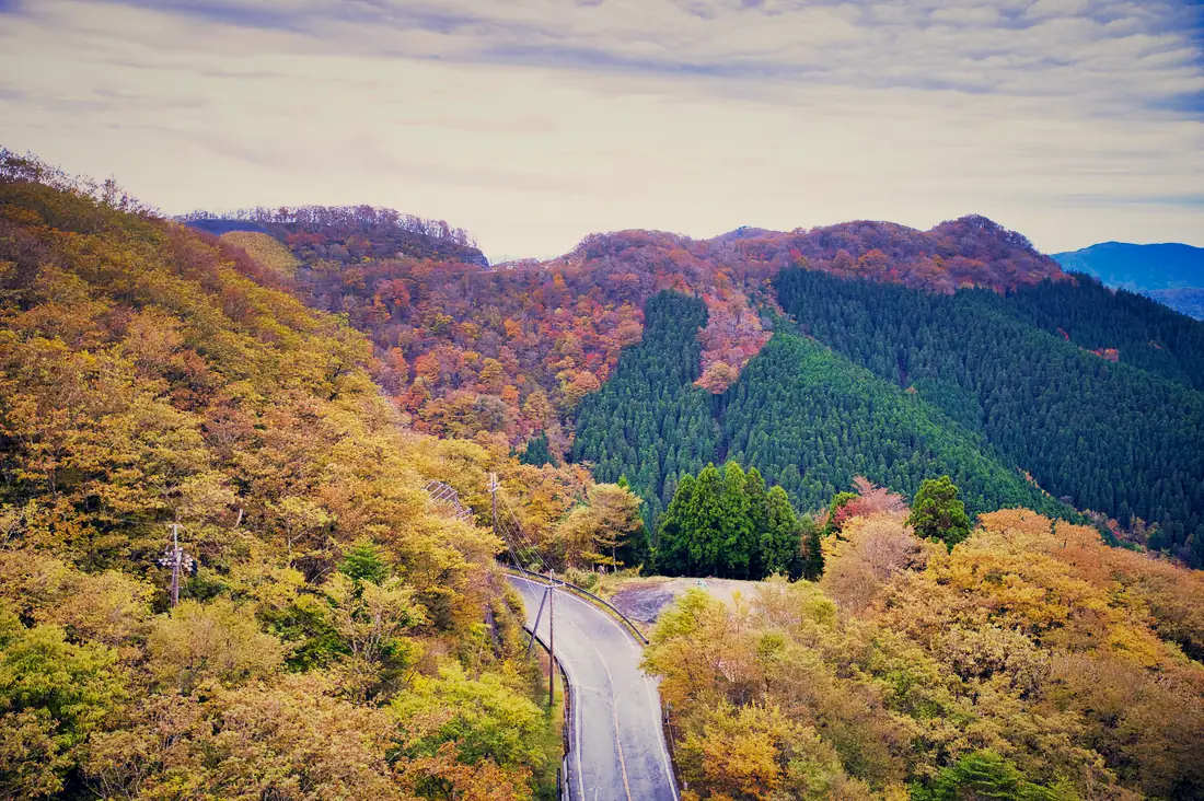 紅葉の山あいを抜ける道