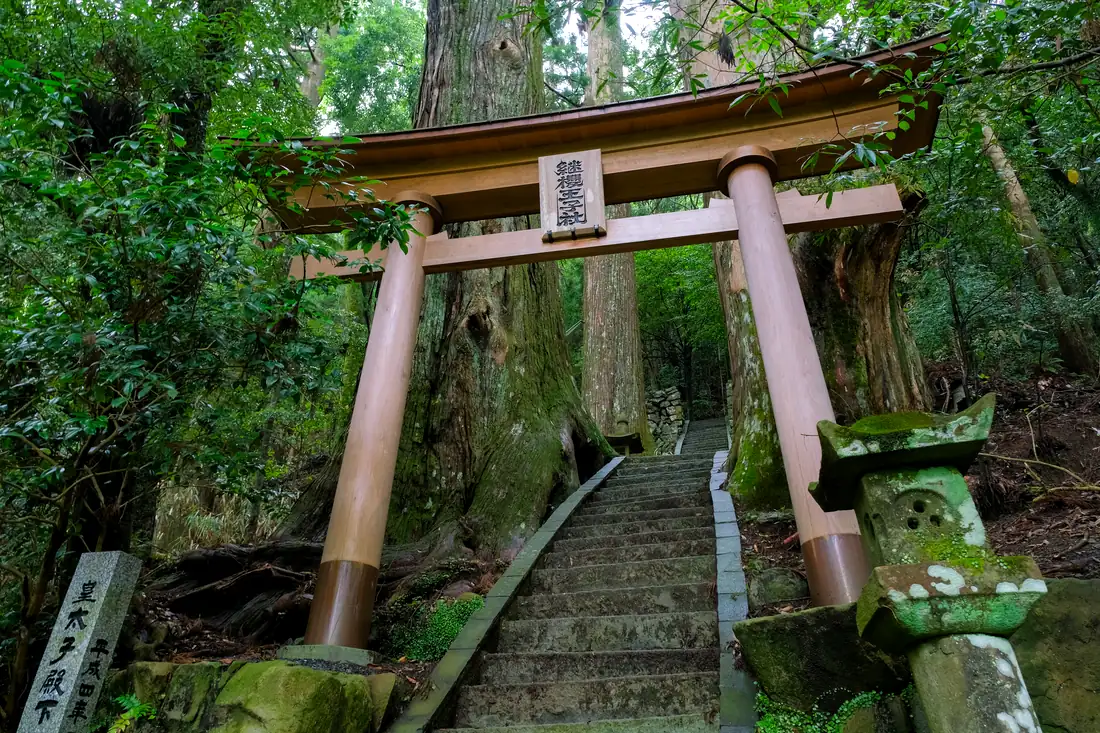 継桜王子の鳥居と石段