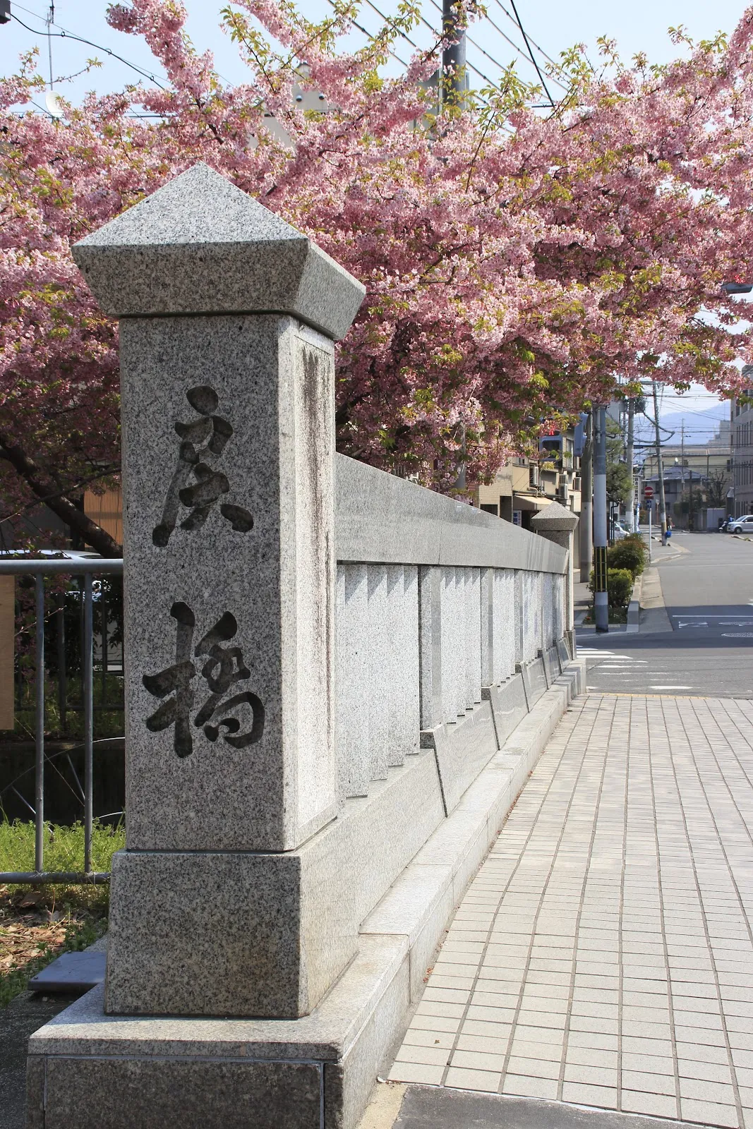 一条戻橋　親柱・石碑（桜期）